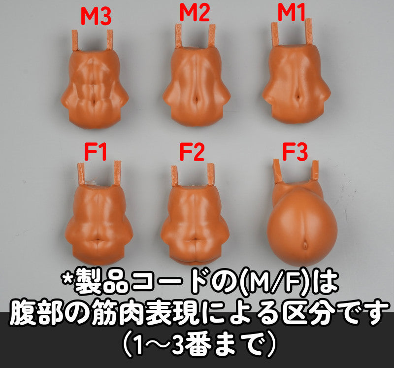 MOP-64 MUSCUTO Sunshine Abdominal parts set 腹部 パーツセット(M1) 2 Pieces Set