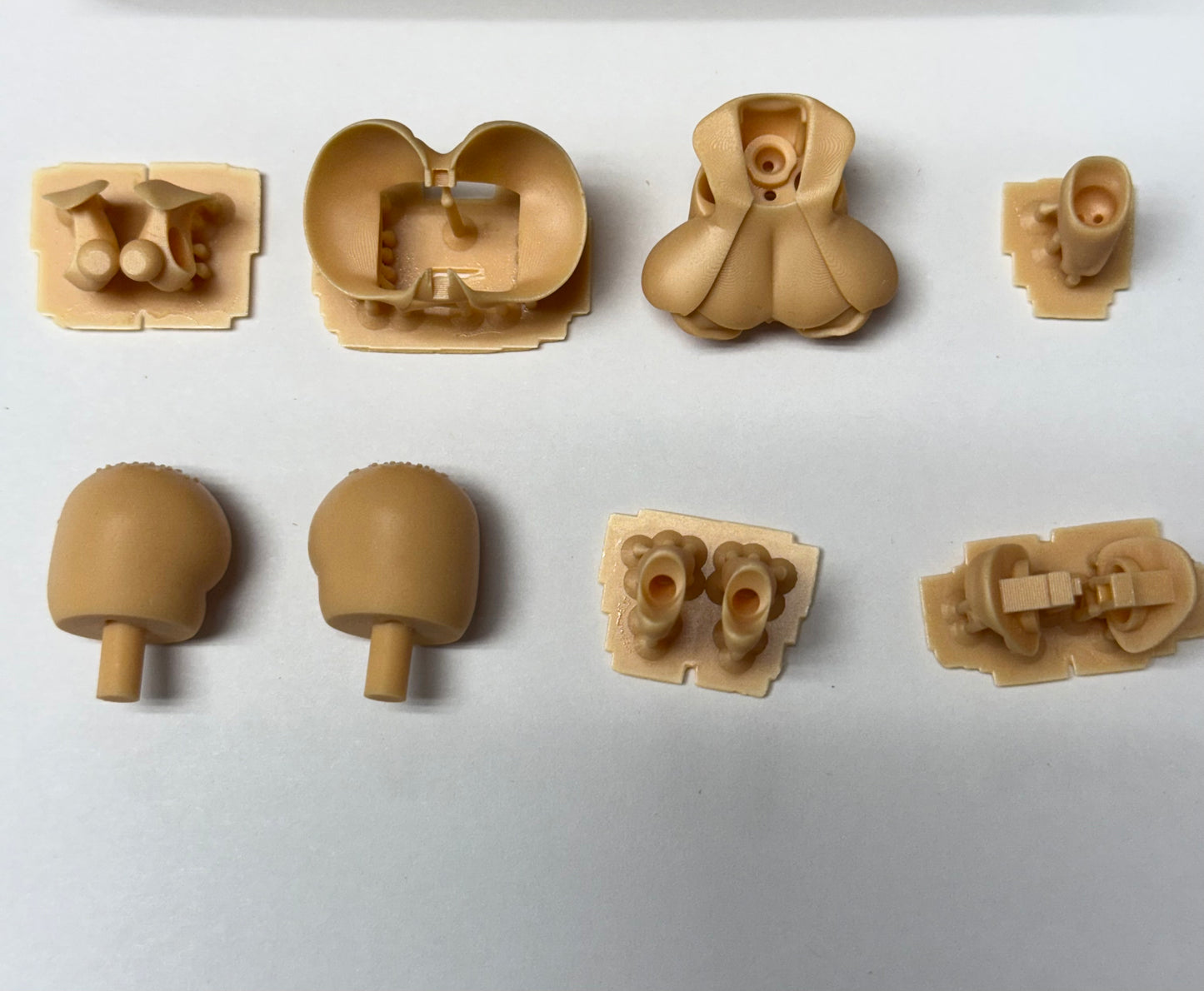KOI-010 KOIJIRUSI  BUNNY SKIN PARTS ONLY COLOR D