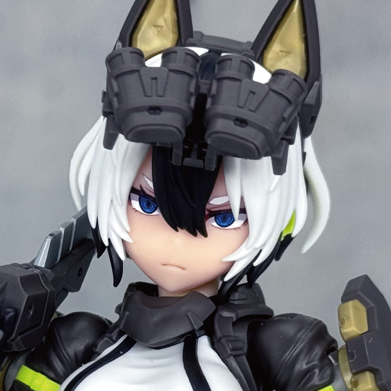 BP051 BLUEPRINT YGGDRASIS GARM RIPPER CUSTOM FACE PART 1